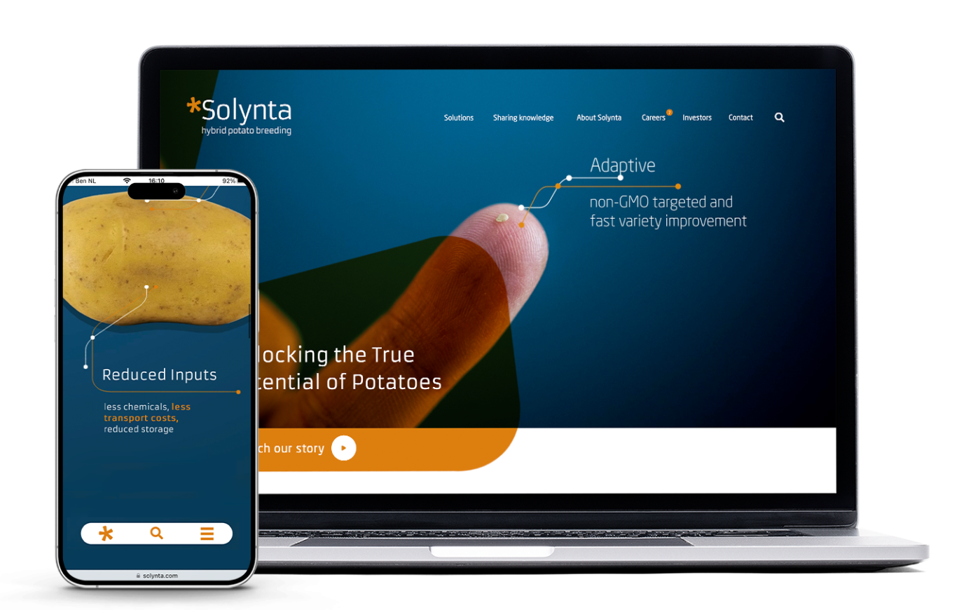 case Solynta mockup website